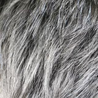 Un stress passager peut dépigmenter provisoirement les cheveux. © Siniehina, Adobe Stock